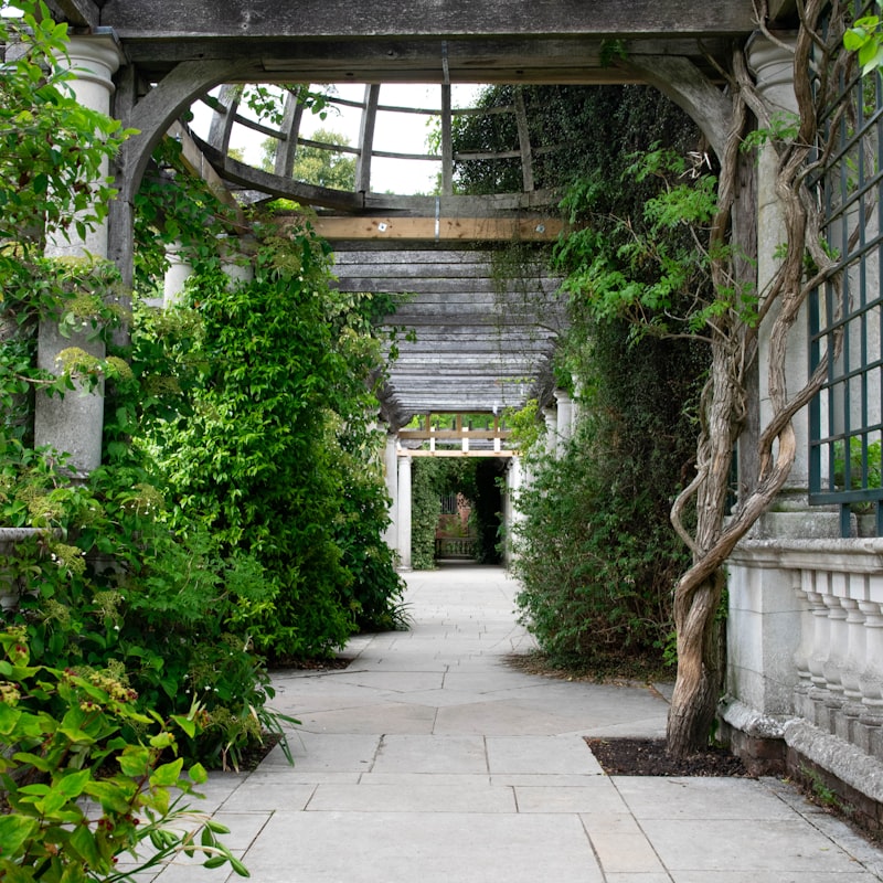 Stone walkway winding through a landscaped garden