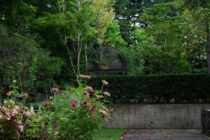 Garden with a bench and flowers in the foreground