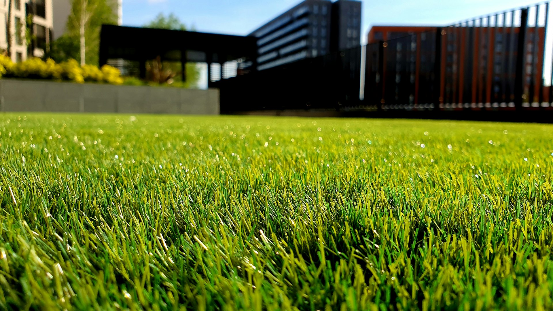 Lush green lawn with landscaped garden beds and stone walkway