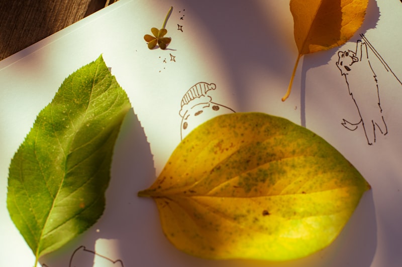 A leaf and a piece of paper on a table